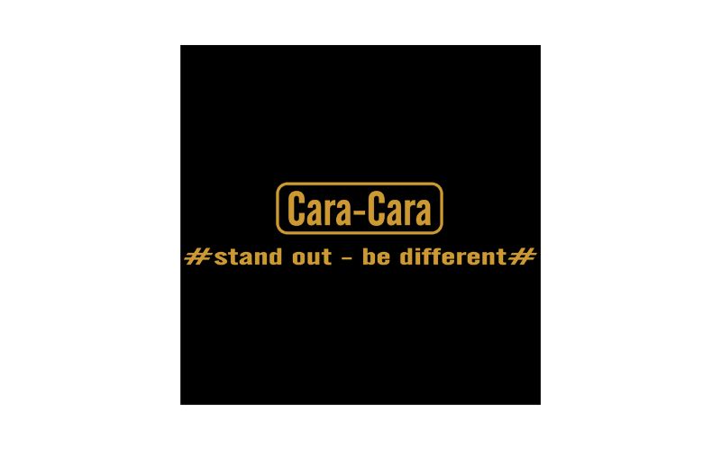 Logo Cara Cara Art Studio 800x500