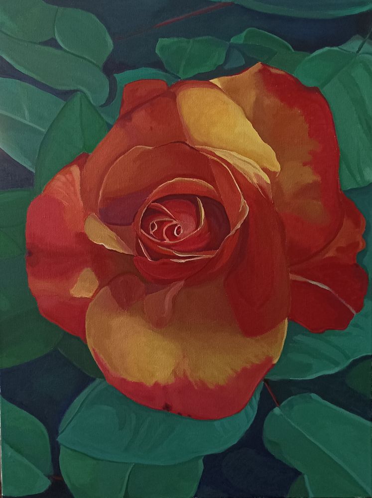 Cromie de una rosa