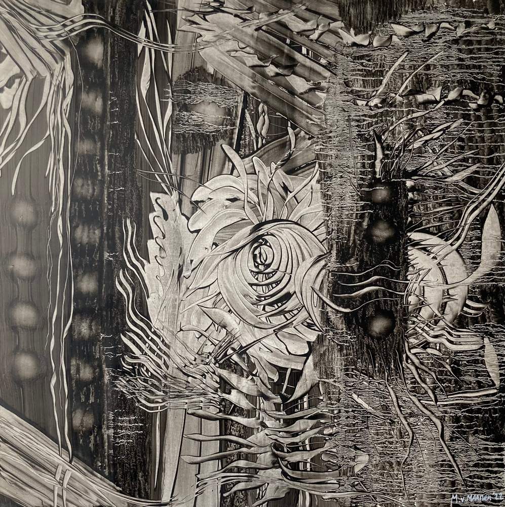 Dimension of Nature V