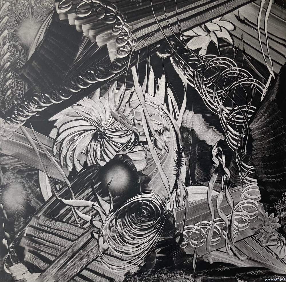 Dimension of Nature VI